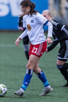 Bild 160 - wBJ HSV - F VfL Jesteburg : Ergebnis: 6:1